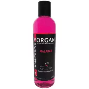 Shampoing protéiné senteur Malabar