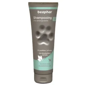 Shampooing Premium Beaphar anti démangeaisons